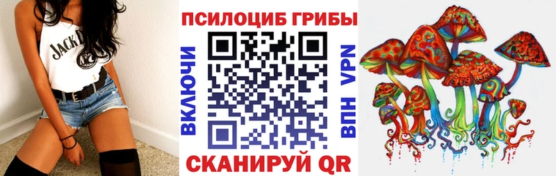 цена наркотик  Ершов  Галлюциногенные грибы Psilocybe 